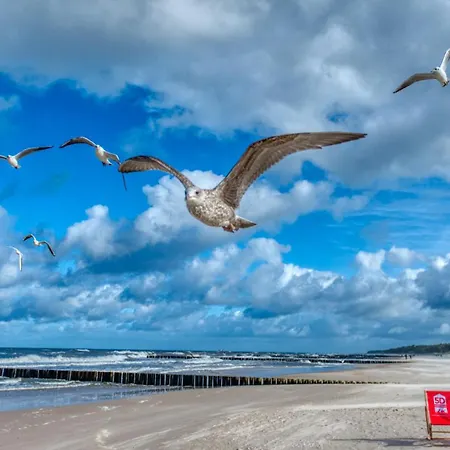 アパート 209 Z 2 Sypialniami I 2 Lazienkami Przy Plazy - 5d *